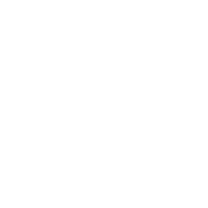 ico ico