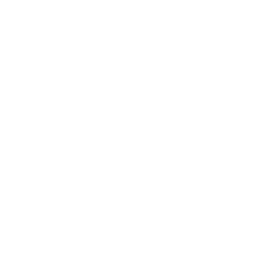 ico ico