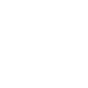 ico ico